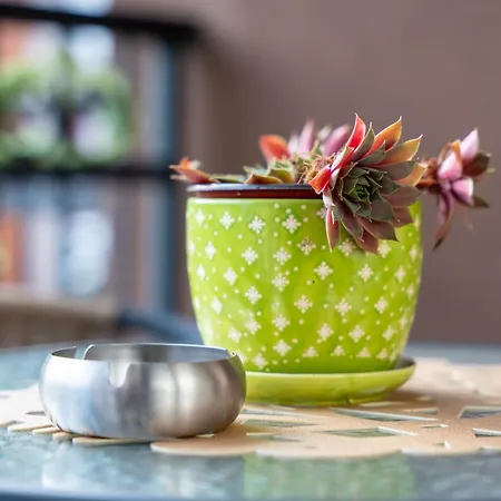 公寓 Blue-angel-lux